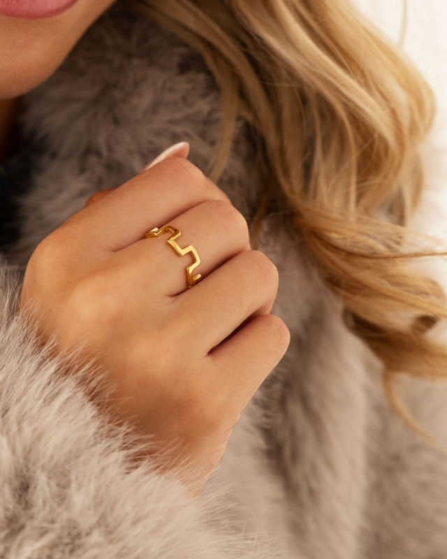 Gouden ring met blokken bij model