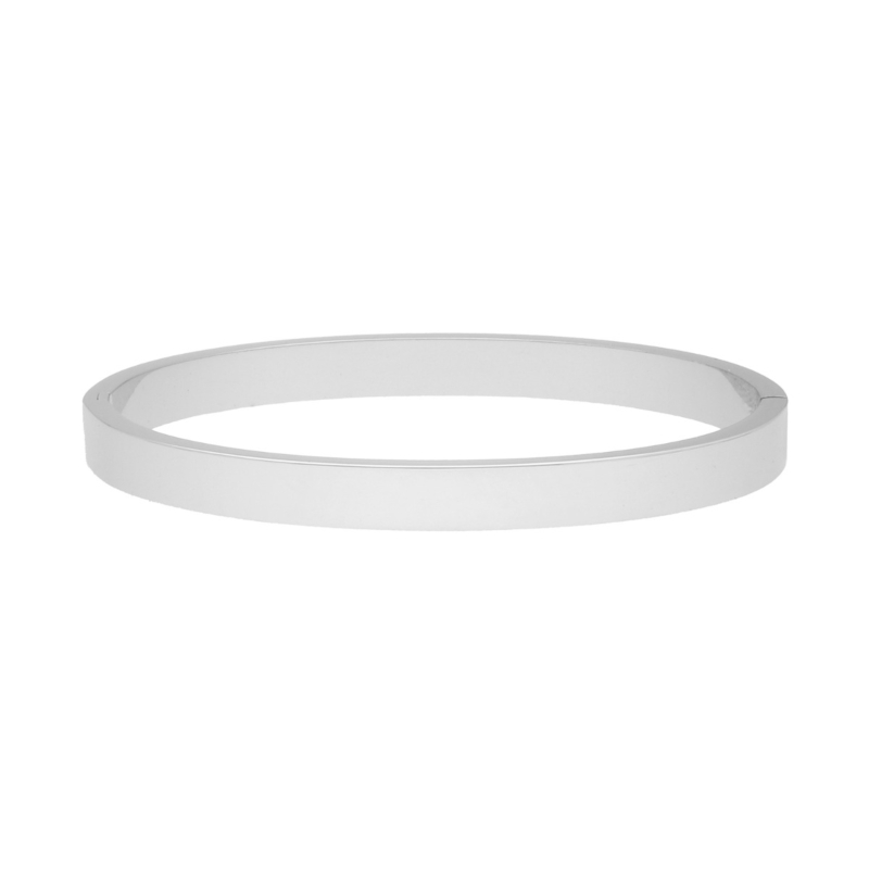 Fashionable stainless steel bangle van FINASTE