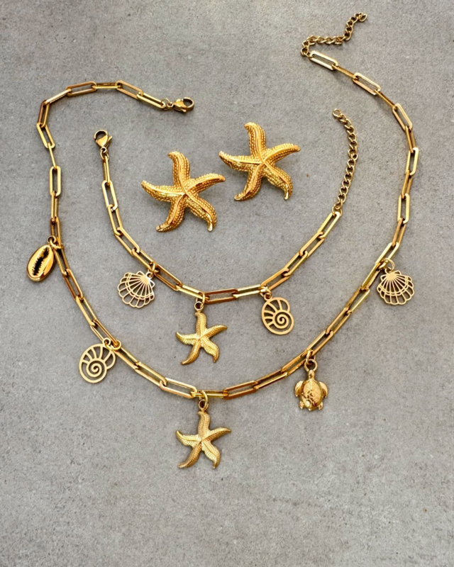 Gouden zeester sieraden mix