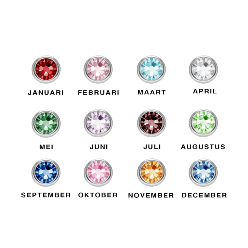 Alle opties voor de zilverkleurige birthstones 