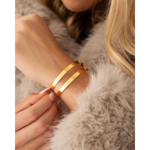 Bangle dubbel goudkleurig