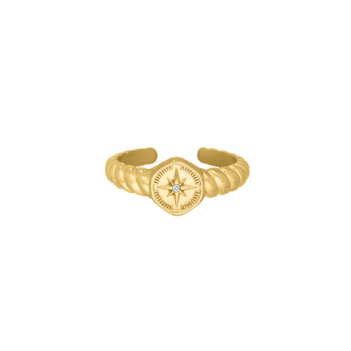 Compass ring met steentje goudkleurig