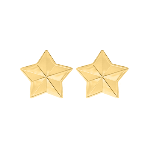 Star earrings goldplated