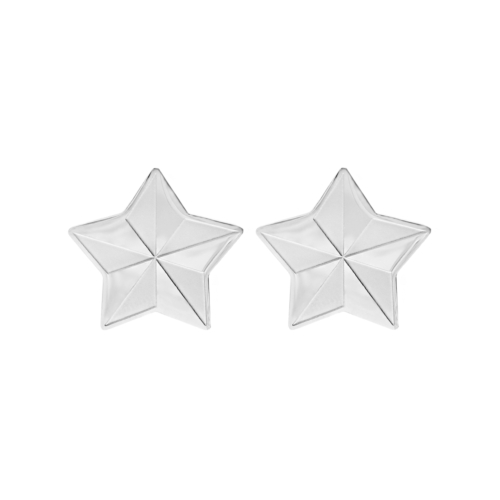 Statement star stud earrings