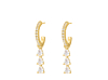 Exclusive crystal drop earrings goldplated